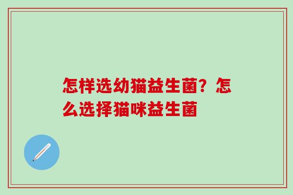 怎样选幼猫益生菌？怎么选择猫咪益生菌