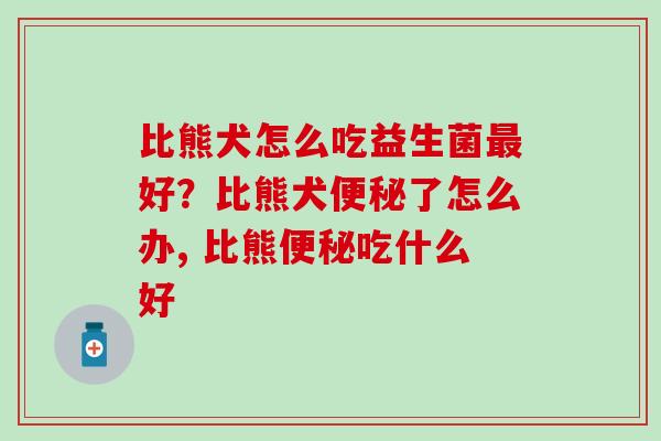 比熊犬怎么吃益生菌最好？比熊犬便秘了怎么办, 比熊便秘吃什么好