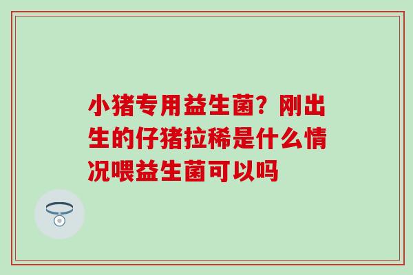 小猪专用益生菌？刚出生的仔猪拉稀是什么情况喂益生菌可以吗