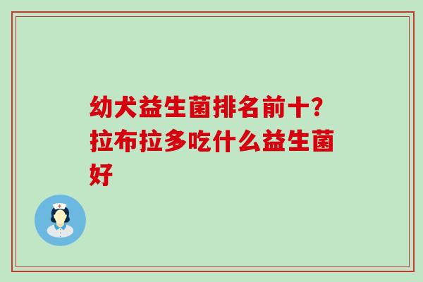 幼犬益生菌排名前十?拉布拉多吃什么益生菌好 幼犬益生菌排名前十?拉布拉多吃什么益生菌好