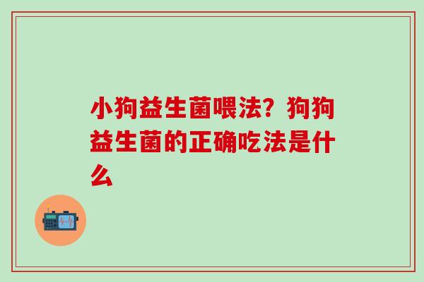 小狗益生菌喂法？狗狗益生菌的正确吃法是什么