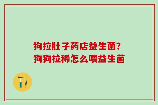 狗拉肚子药店益生菌？狗狗拉稀怎么喂益生菌