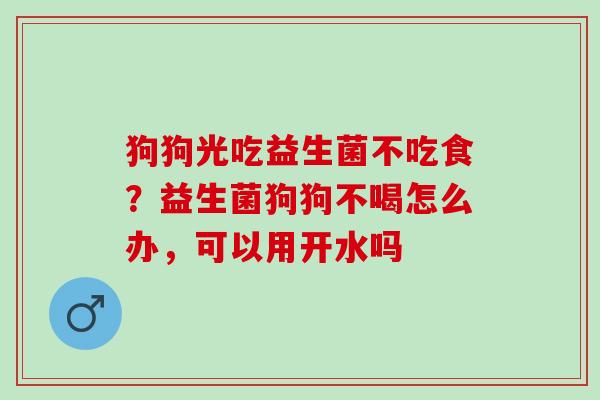 狗狗光吃益生菌不吃食？益生菌狗狗不喝怎么办，可以用开水吗