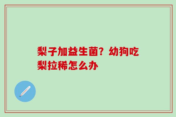 梨子加益生菌？幼狗吃梨拉稀怎么办