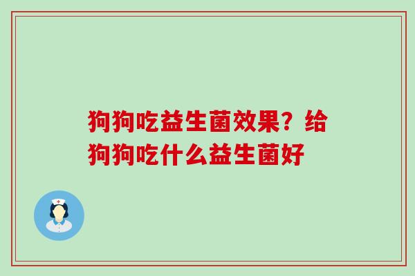 狗狗吃益生菌效果？给狗狗吃什么益生菌好