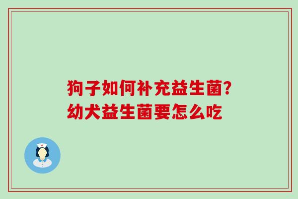 狗子如何补充益生菌？幼犬益生菌要怎么吃