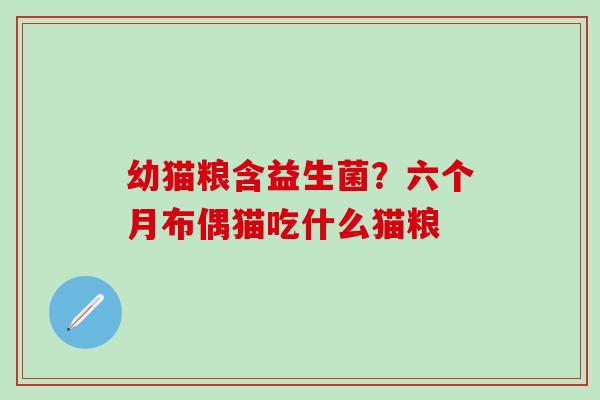 幼猫粮含益生菌?六个月布偶猫吃什么猫粮 幼猫粮含益生菌?六个月布偶猫吃什么猫粮