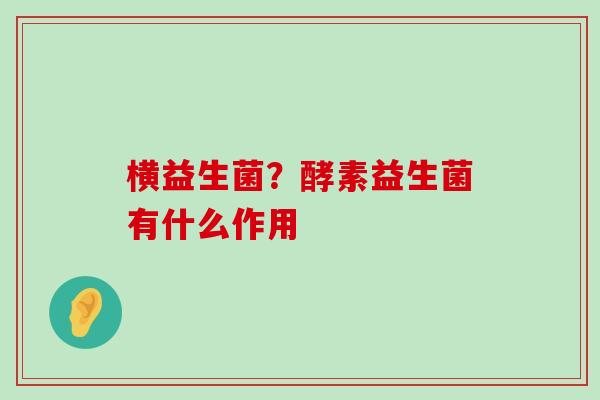 横益生菌？酵素益生菌有什么作用