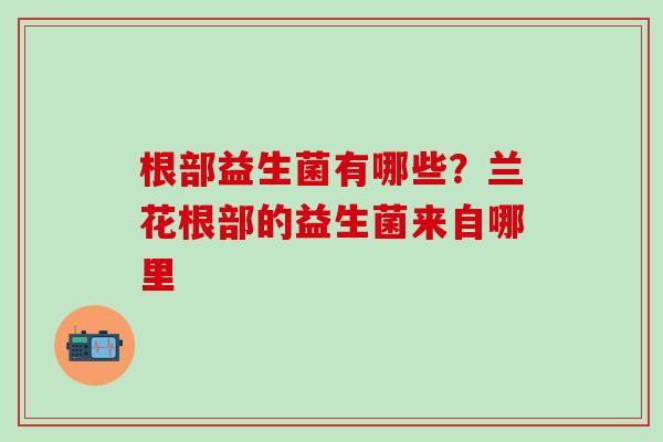 根部益生菌有哪些？兰花根部的益生菌来自哪里