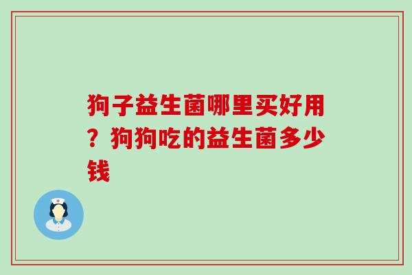 狗子益生菌哪里买好用？狗狗吃的益生菌多少钱