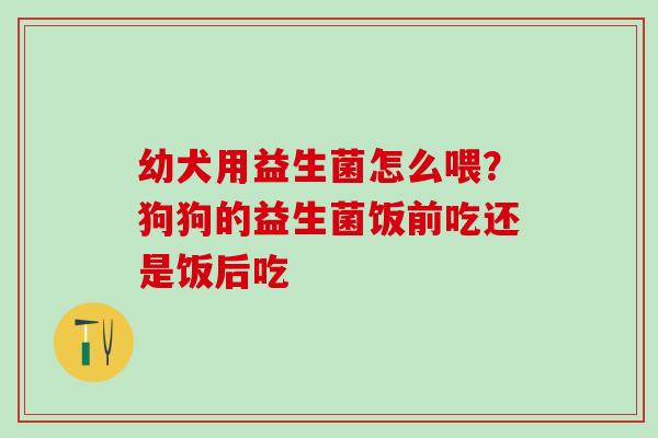 幼犬用益生菌怎么喂？狗狗的益生菌饭前吃还是饭后吃