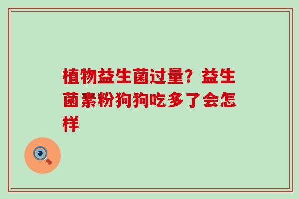 植物益生菌过量？益生菌素粉狗狗吃多了会怎样