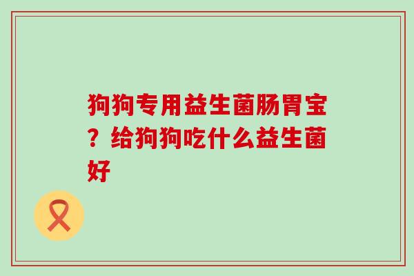 狗狗专用益生菌肠胃宝？给狗狗吃什么益生菌好