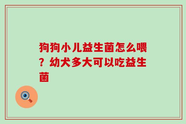 狗狗小儿益生菌怎么喂？幼犬多大可以吃益生菌