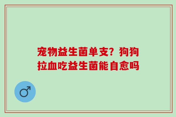 宠物益生菌单支？狗狗拉血吃益生菌能自愈吗