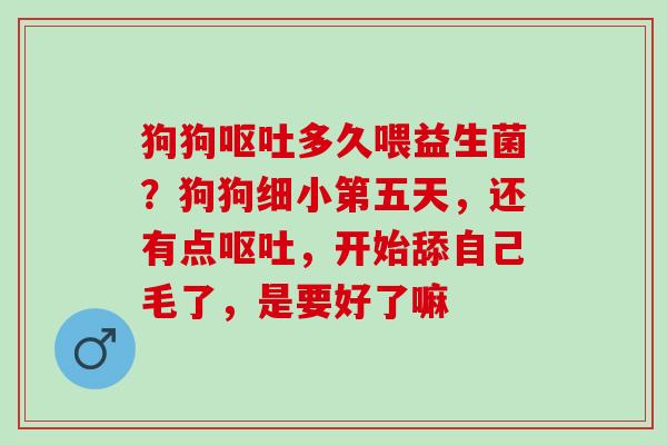 狗狗多久喂益生菌?狗狗细小第五天,还有点,开始舔自己毛了,是要好了嘛 狗狗多久喂益生菌?狗狗细小第五天,还有点,开始舔自己毛了,是要好了嘛