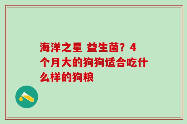 海洋之星 益生菌？4个月大的狗狗适合吃什么样的狗粮