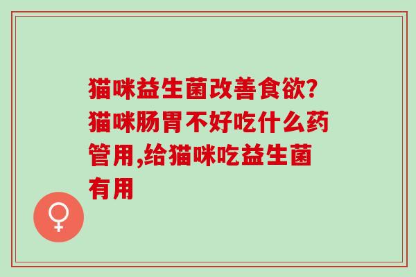 猫咪益生菌改善?猫咪肠胃不好吃什么药管用,给猫咪吃益生菌有用 猫咪益生菌改善?猫咪肠胃不好吃什么药管用,给猫咪吃益生菌有用