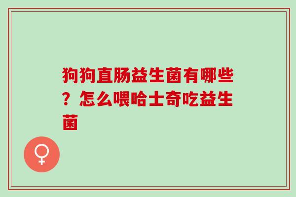 狗狗直肠益生菌有哪些？怎么喂哈士奇吃益生菌