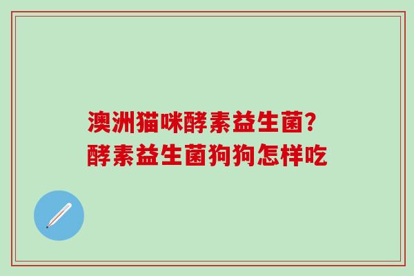 澳洲猫咪酵素益生菌？酵素益生菌狗狗怎样吃