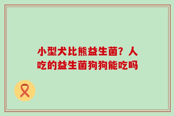 小型犬比熊益生菌?人吃的益生菌狗狗能吃吗 小型犬比熊益生菌?人吃的益生菌狗狗能吃吗