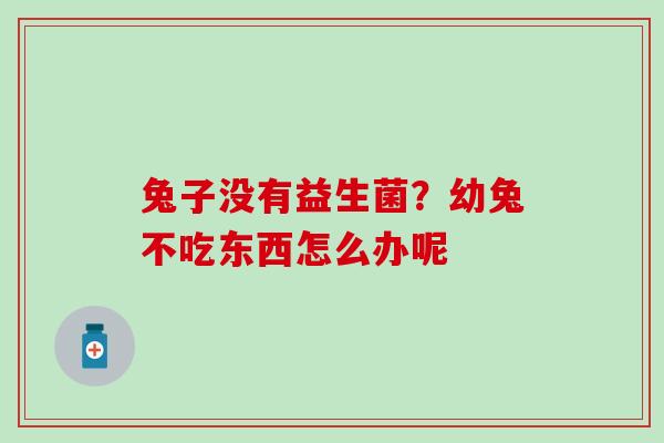 兔子没有益生菌？幼兔不吃东西怎么办呢
