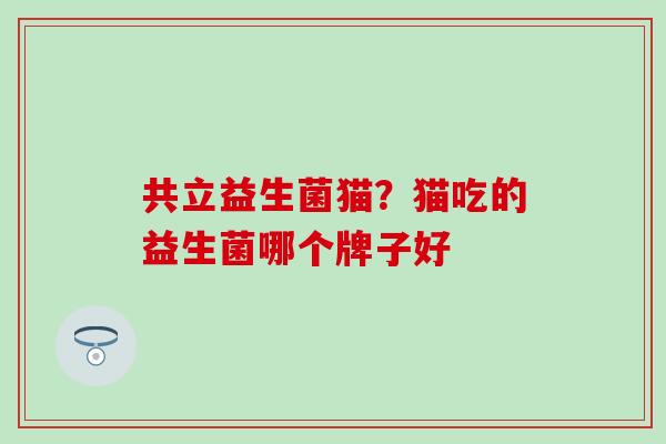 共立益生菌猫？猫吃的益生菌哪个牌子好