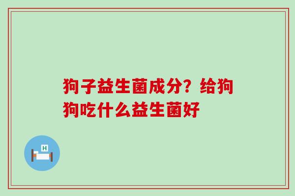 狗子益生菌成分？给狗狗吃什么益生菌好