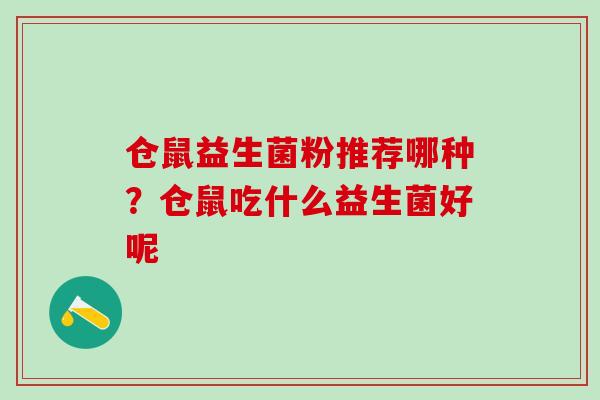 仓鼠益生菌粉推荐哪种？仓鼠吃什么益生菌好呢