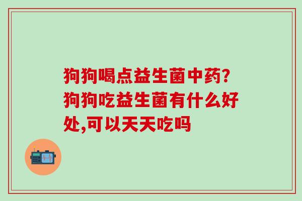 狗狗喝点益生菌中药？狗狗吃益生菌有什么好处,可以天天吃吗