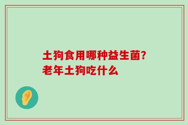 土狗食用哪种益生菌？老年土狗吃什么