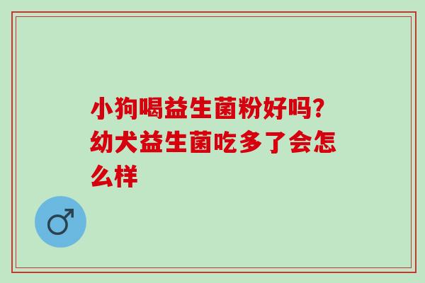小狗喝益生菌粉好吗?幼犬益生菌吃多了会怎么样 小狗喝益生菌粉好吗?幼犬益生菌吃多了会怎么样