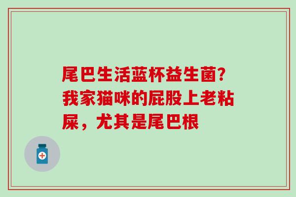 尾巴生活蓝杯益生菌?我家猫咪的屁股上老粘屎,尤其是尾巴根 尾巴生活蓝杯益生菌?我家猫咪的屁股上老粘屎,尤其是尾巴根
