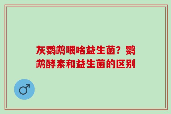 灰鹦鹉喂啥益生菌？鹦鹉酵素和益生菌的区别