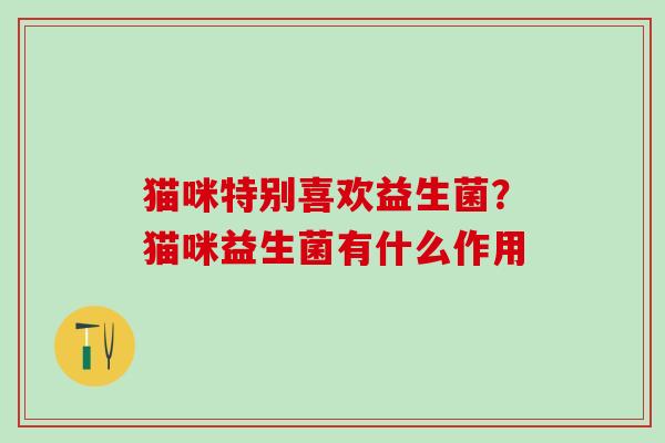 猫咪特别喜欢益生菌？猫咪益生菌有什么作用