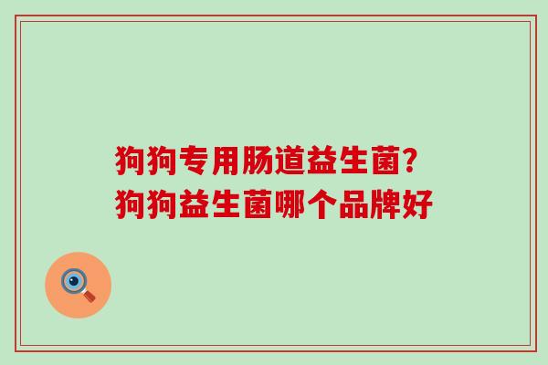 狗狗专用肠道益生菌？狗狗益生菌哪个品牌好