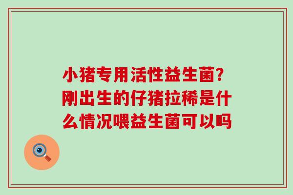 小猪专用活性益生菌？刚出生的仔猪拉稀是什么情况喂益生菌可以吗