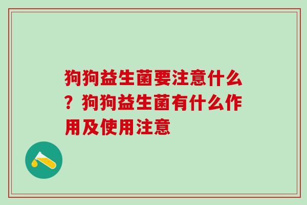 狗狗益生菌要注意什么？狗狗益生菌有什么作用及使用注意