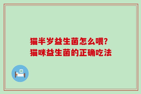 猫半岁益生菌怎么喂？猫咪益生菌的正确吃法