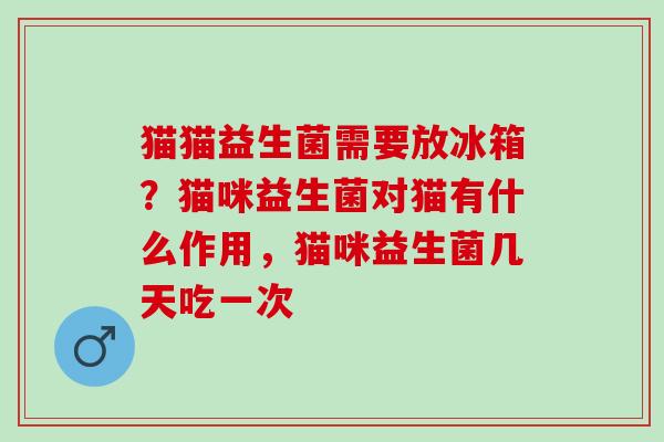 猫猫益生菌需要放冰箱？猫咪益生菌对猫有什么作用，猫咪益生菌几天吃一次