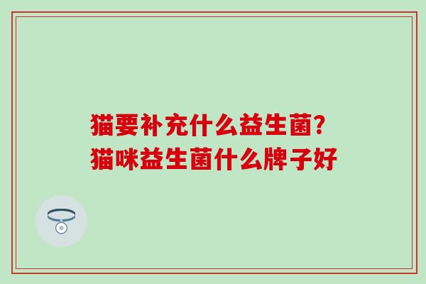 猫要补充什么益生菌？猫咪益生菌什么牌子好
