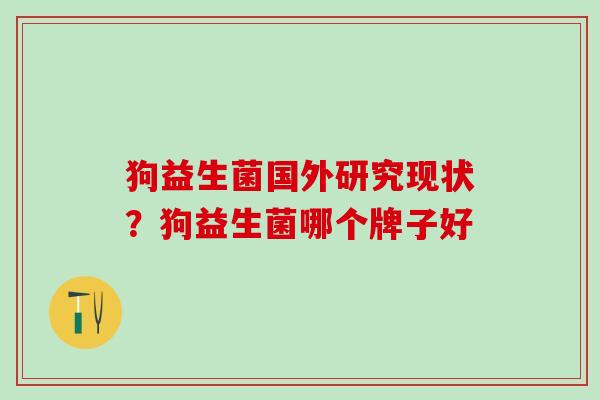 狗益生菌国外研究现状？狗益生菌哪个牌子好