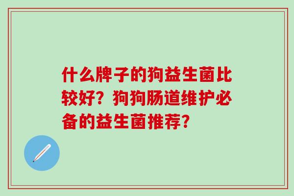 什么牌子的狗益生菌比较好？狗狗肠道维护必备的益生菌推荐？