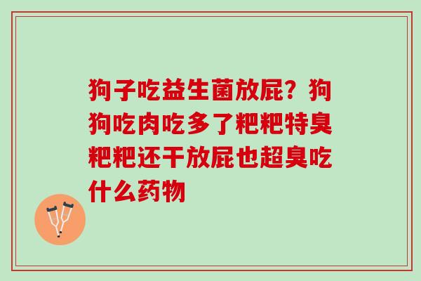 狗子吃益生菌放屁？狗狗吃肉吃多了粑粑特臭粑粑还干放屁也超臭吃什么