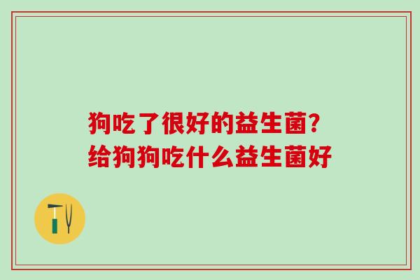 狗吃了很好的益生菌？给狗狗吃什么益生菌好