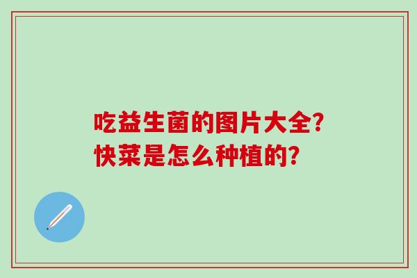 吃益生菌的图片大全？快菜是怎么种植的？