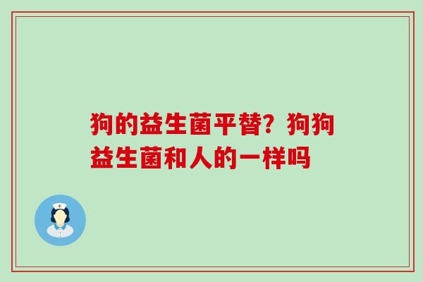 狗的益生菌平替?狗狗益生菌和人的一样吗 狗的益生菌平替?狗狗益生菌和人的一样吗