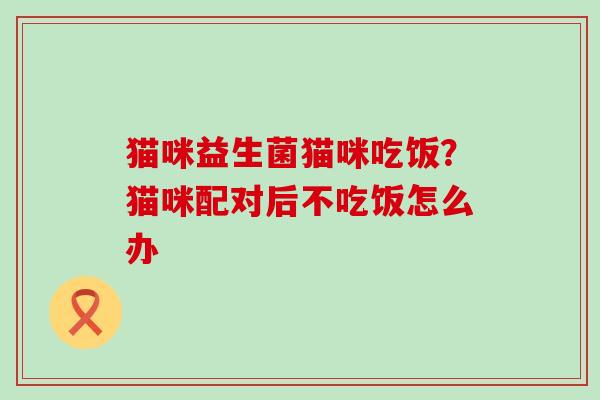 猫咪益生菌猫咪吃饭?猫咪配对后不吃饭怎么办 猫咪益生菌猫咪吃饭?猫咪配对后不吃饭怎么办