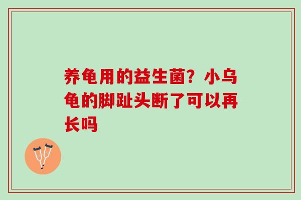 养龟用的益生菌？小乌龟的脚趾头断了可以再长吗