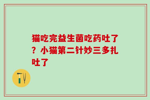 猫吃完益生菌吃药吐了？小猫第二针妙三多扎吐了